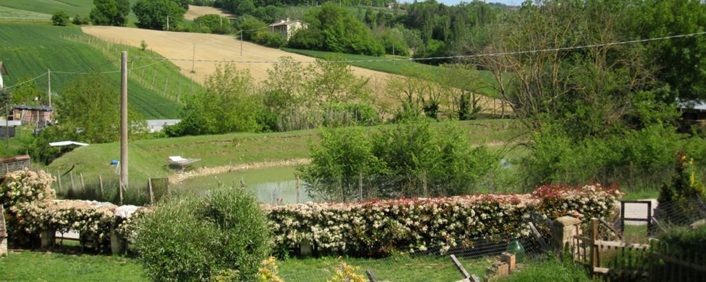 La Pietra Rara B&B Montone  Eksteriør bilde
