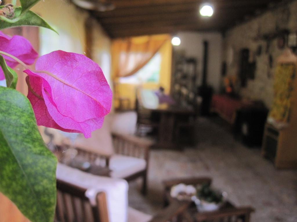 La Pietra Rara B&B Montone  Eksteriør bilde