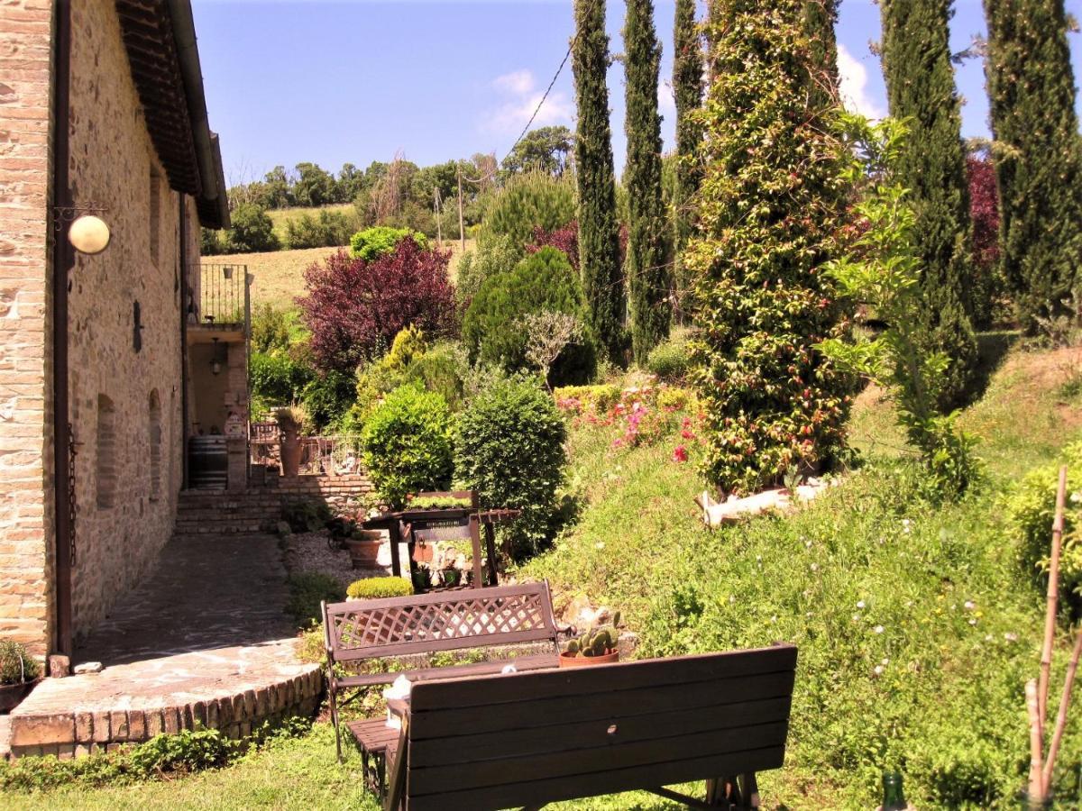 La Pietra Rara B&B Montone  Eksteriør bilde