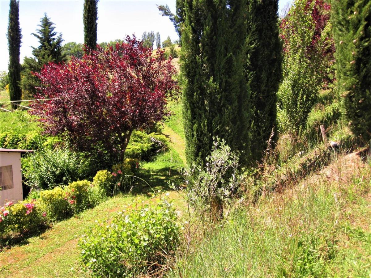 La Pietra Rara B&B Montone  Eksteriør bilde