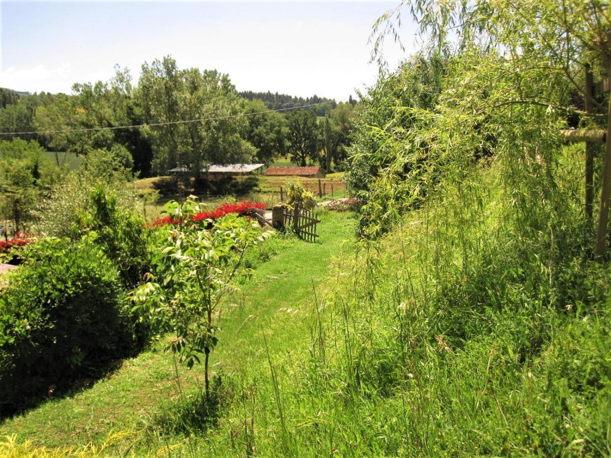 La Pietra Rara B&B Montone  Eksteriør bilde