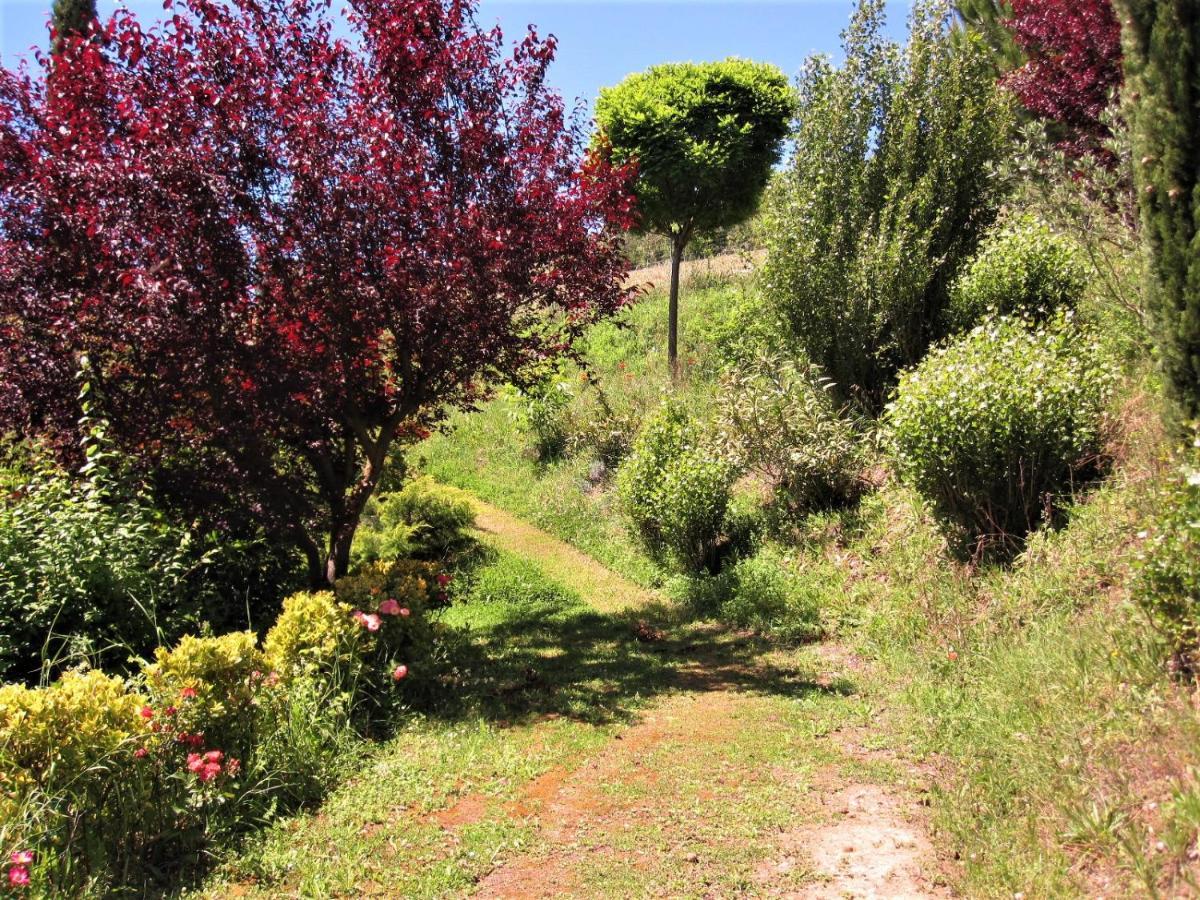 La Pietra Rara B&B Montone  Eksteriør bilde