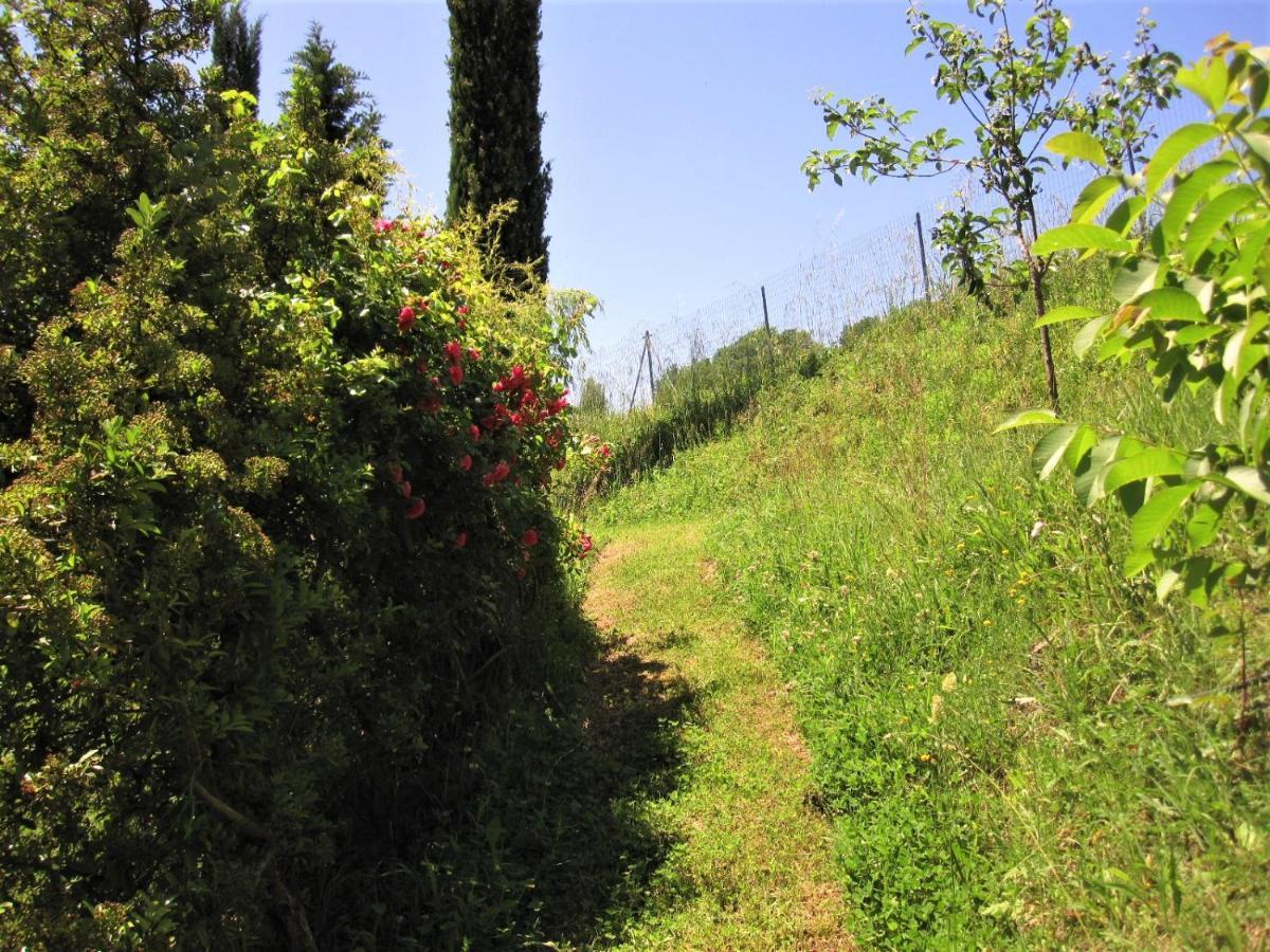 La Pietra Rara B&B Montone  Eksteriør bilde
