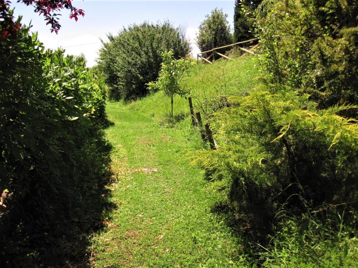 La Pietra Rara B&B Montone  Eksteriør bilde