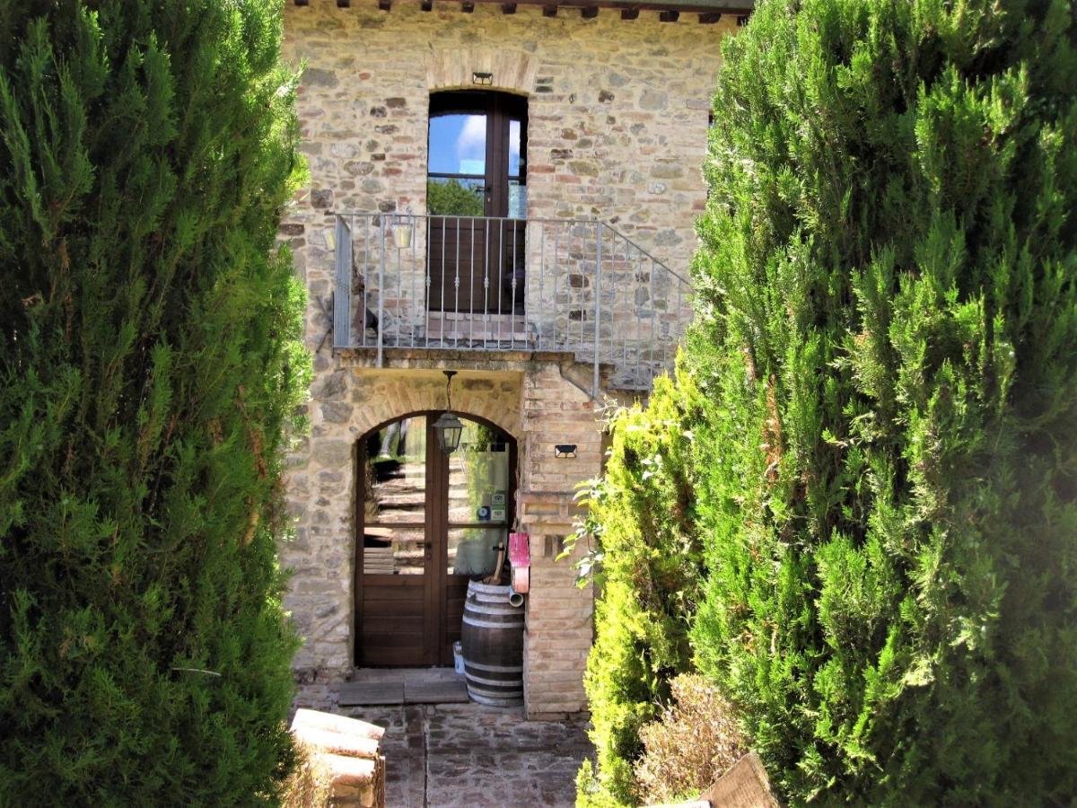 La Pietra Rara B&B Montone  Eksteriør bilde